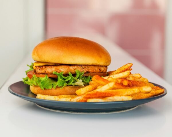 a plate with a sandwich and french fries on it